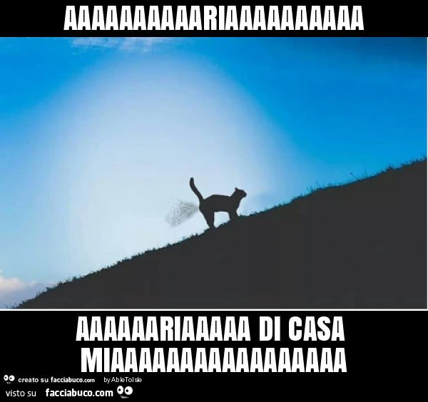 Aaaaaaaaaariaaaaaaaaaa aaaaaariaaaaa di casa miaaaaaaaaaaaaaaaaa