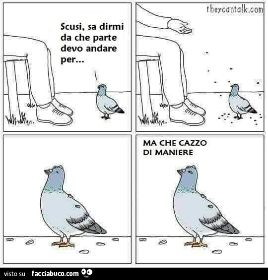 Scusi, sa dirmi da che parte devo andare per… ma che cazzo di maniere