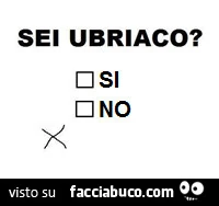 Sei ubriaco? So o no