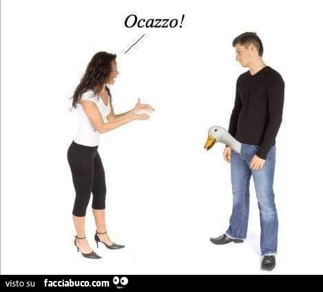 Ocazzo