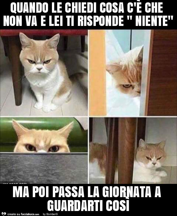 a14u7enmqj-quando-le-chiedi-cosa-c-e-che-non-va-e-lei-ti-risponde-niente-ma-poi-passa-la_a.jpg