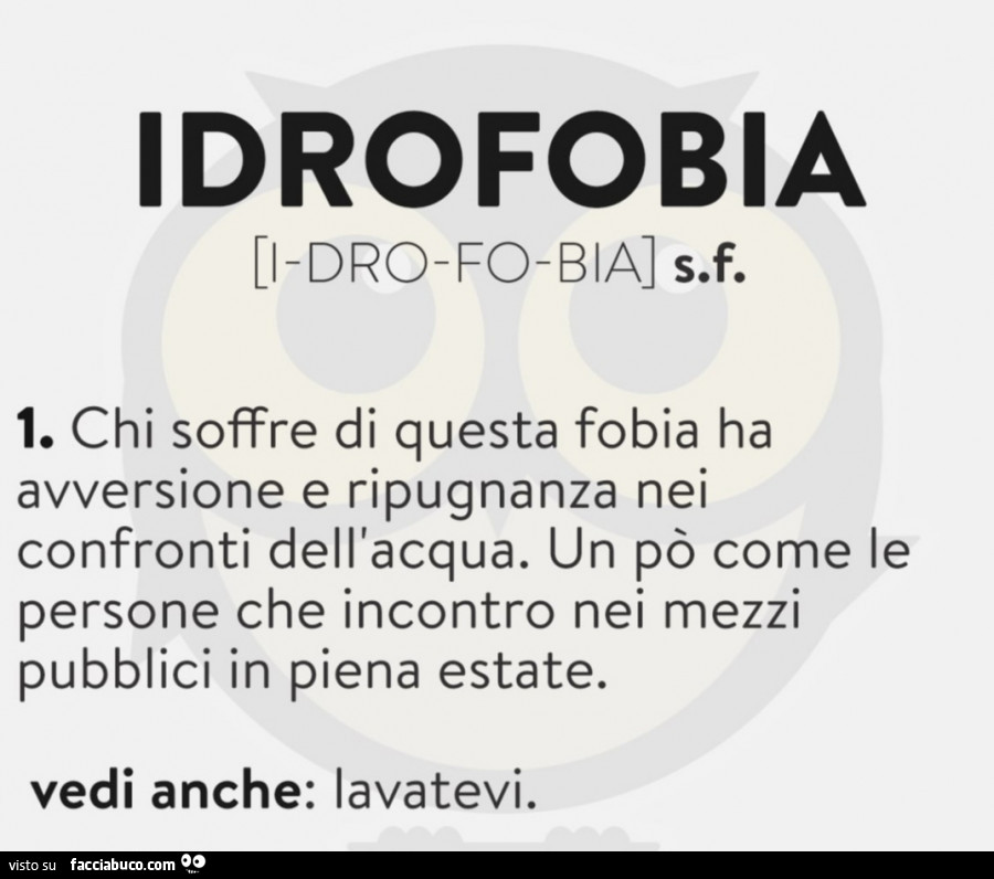 Idrofobia. Chi soffre di questa fobia ha avversione e ripugnanza nei confronti dell'acqua. Un po' come le persone che incontro nei mezzi pubblici in piena estate. Vedi anche: lavatevi