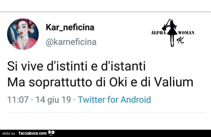 Si vive d'istinti e d'istanti ma soprattutto di oki e di valium