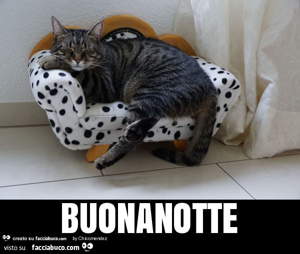 Buonanotte