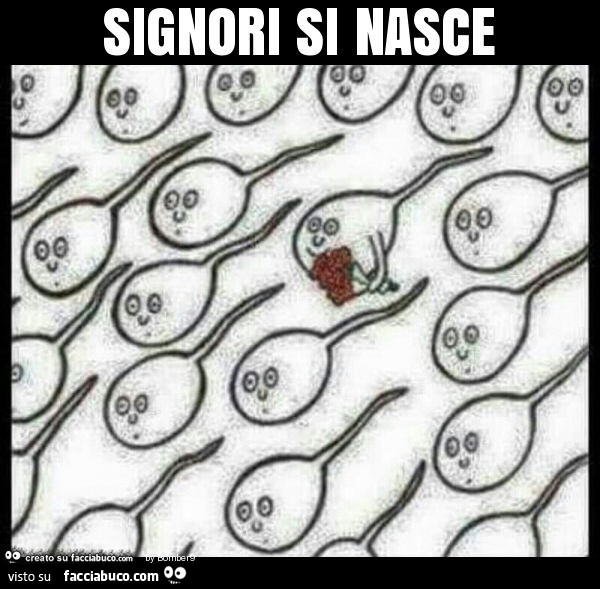 Signori si nasce