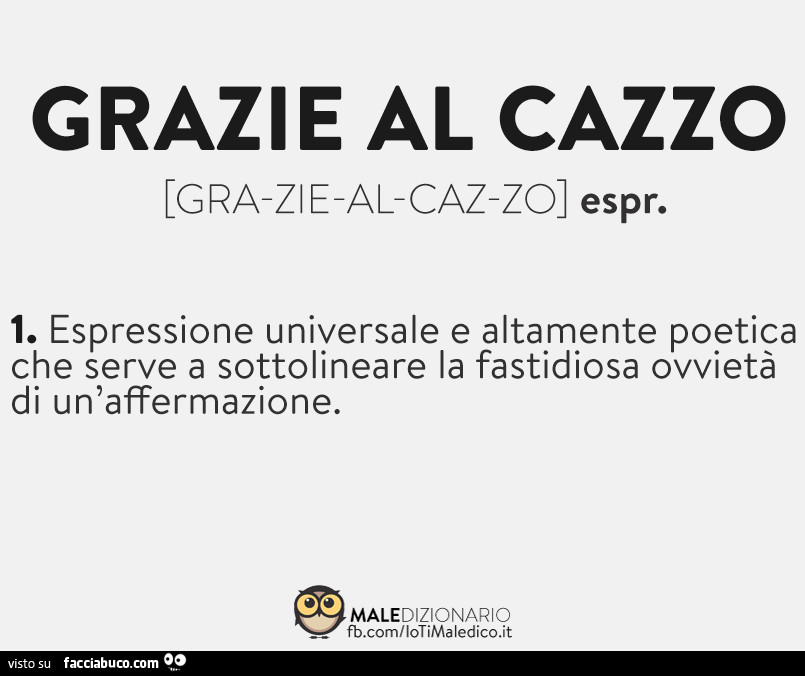 Grazie al cazzo. Espressione universale e altamente poetica che serve a sottolineare la fastidiosa ovvietà di un'affermazione