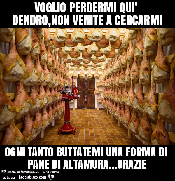 Voglio perdermi quì dendro, non venite a cercarmi ogni tanto buttatemi una forma di pane di altamura… grazie