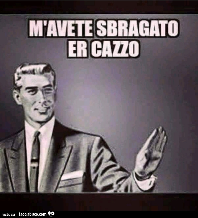 M'avete sbragato er cazzo