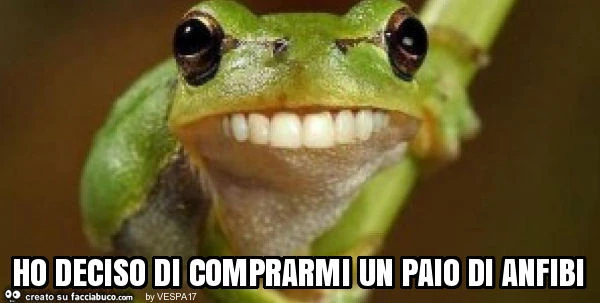 Ho deciso di comprarmi un paio di anfibi