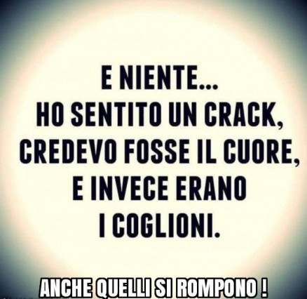 E siamo solo al lunedì mattina !!!!!!!… vaccata pubblicata da Gigiolo 