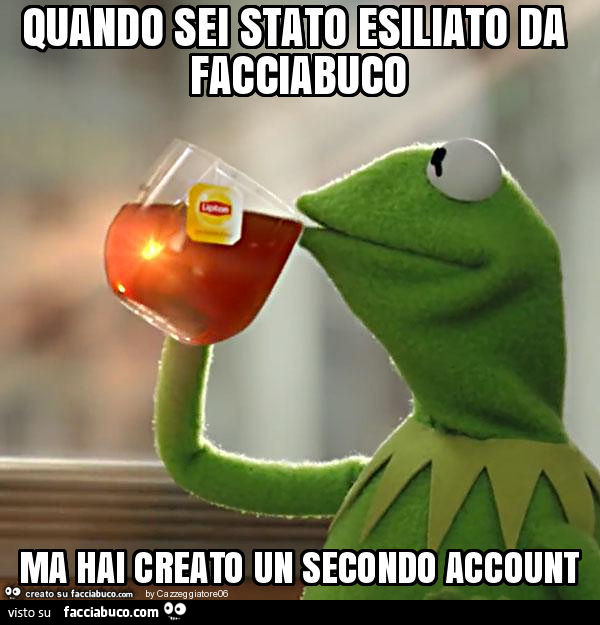 Quando sei stato esiliato da facciabuco ma hai creato un secondo account