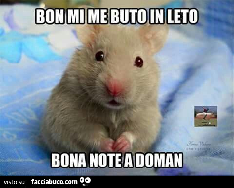 Topolino veneto che da la buonanotte. Bon mi me buto in leto. Bona note a doman