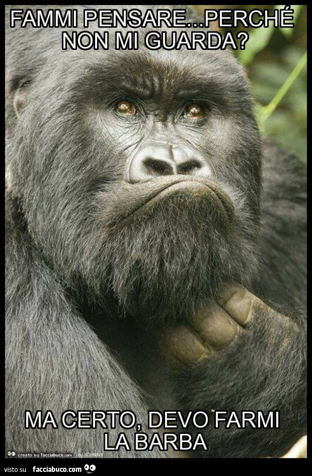 Fammi pensare… perché non mi guarda? Ma certo, devo farmi la barba
