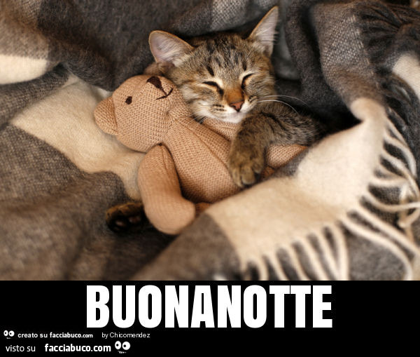 Buonanotte