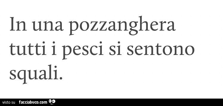 In una pozzanghera tutti i pesci si sentono squali