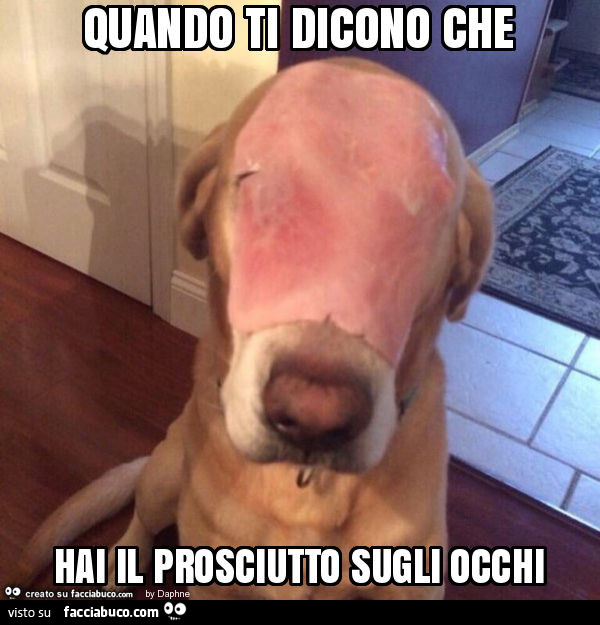 Quando ti dicono che hai il prosciutto sugli occhi