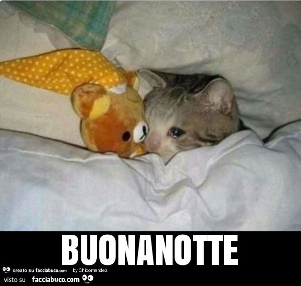 Buonanotte