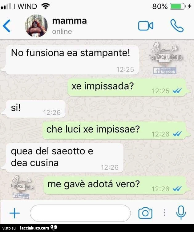 No funsiona ea stampante! Xe impissada? Si! Che luci xe impissae? Quea del saeotto e dea cusina. Me gavè adoté vero?