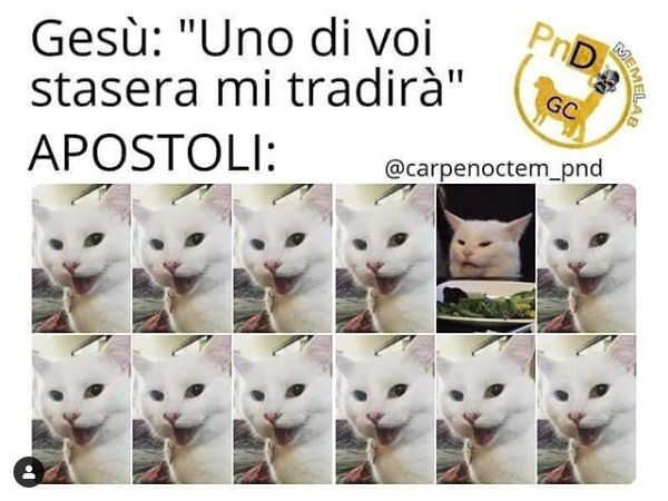 Vaccata