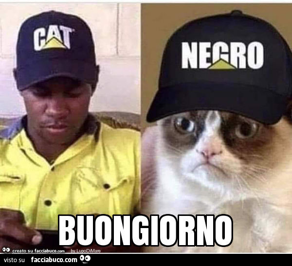Buongiorno