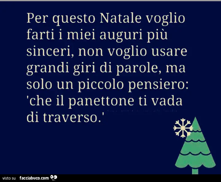 Per questo Natale voglio farti i miei auguri più sinceri, non voglio usare grandi giri di parole, ma solo un piccolo pensiero: che il panettone ti vada di traverso. '