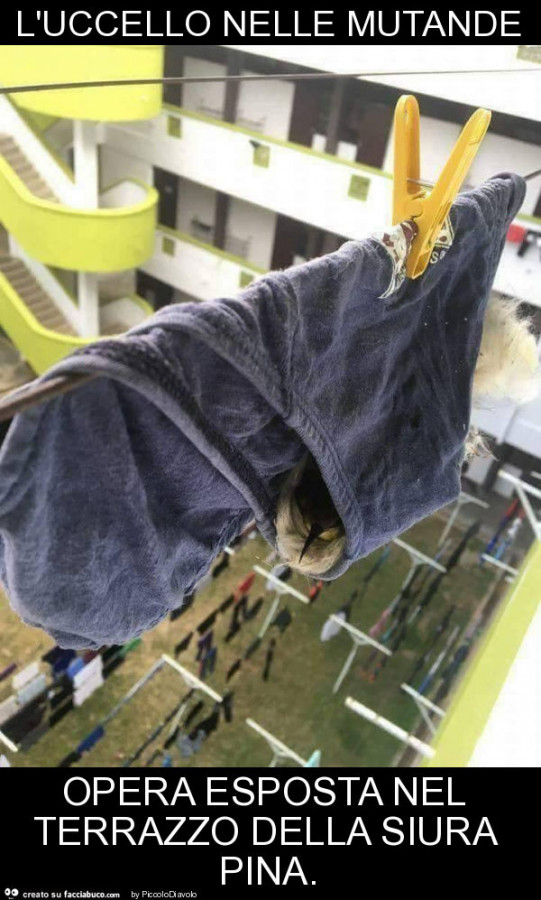 L'uccello nelle mutande opera esposta nel terrazzo della siura pina