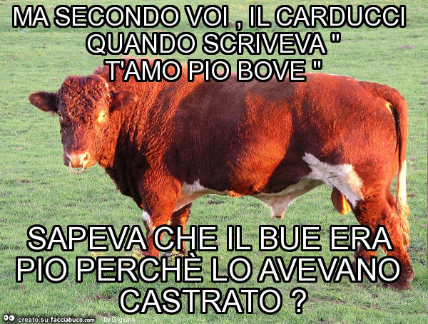 Ma secondo voi, il carducci quando scriveva " t'amo pio bove " sapeva che il bue era pio perchè lo avevano castrato?