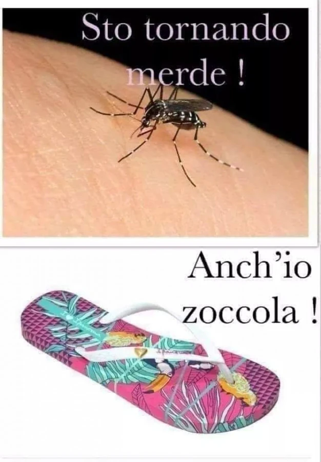 Vaccata