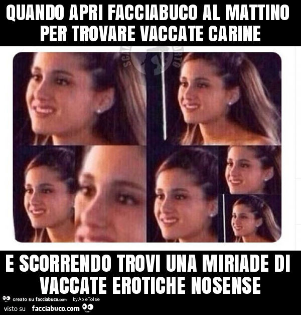 Quando apri facciabuco al mattino per trovare vaccate carine e scorrendo trovi una miriade di vaccate erotiche nosense