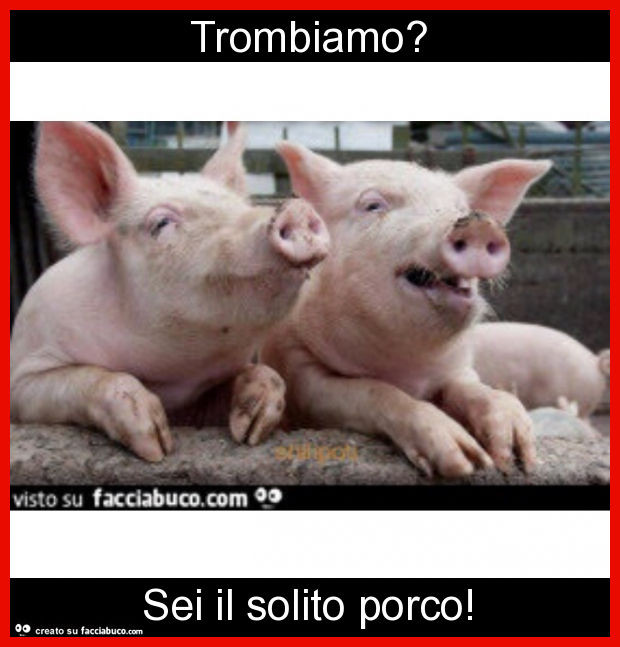 Trombiamo? Sei il solito porco