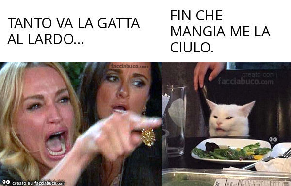 Tanto va la gatta al lardo… fin che mangia me la ciulo