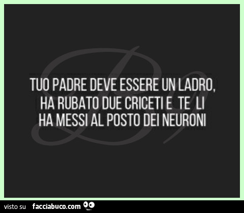 Tuo padre deve essere un ladro ha rubato due criceti e te li ha messi al posto dei neuroni