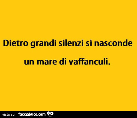 Dietro grandi silenzi si nasconde un mare di vaffanculi