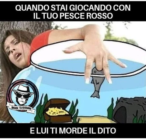 Quando stai giocando con il tuo pesce rosso e lui ti morde il dito
