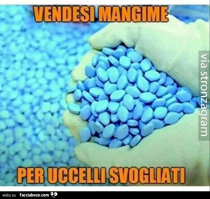 Vendesi mangime per uccelli svogliati