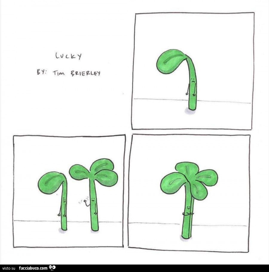 Lucky by Tim Brierley
