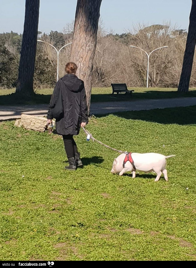 A passeggio con mammà