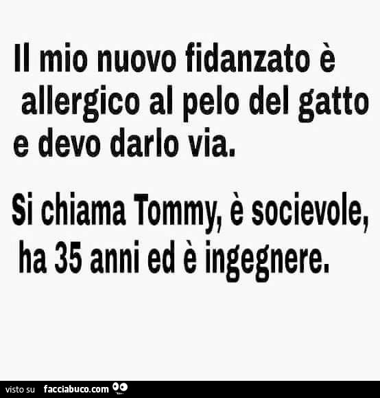 Il mio nuovo fidanzato è allergico al pelo del gatto e devo darlo via. Si chiama tommy, è socievole, ha 35 anni ed è ingegnere