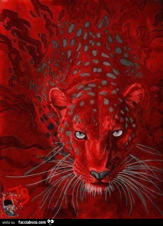 Tigre rossa