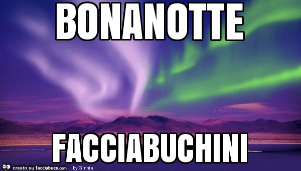 Bonanotte facciabuchini