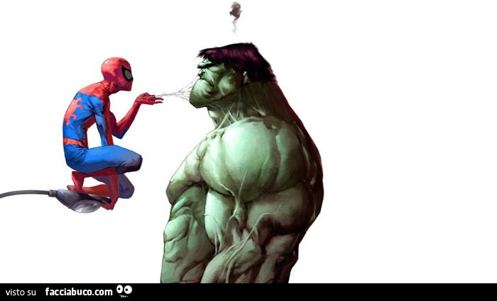 Spiderman e Hulk