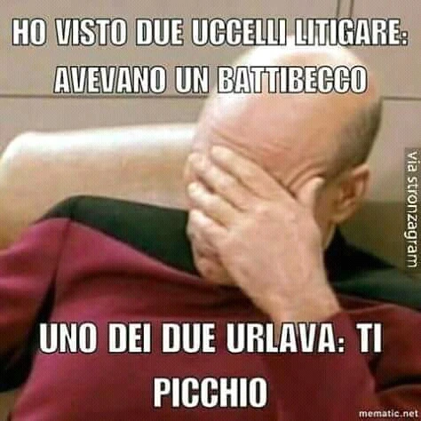 Un uccello dice all'altro ti picchio