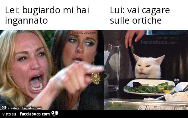 Lei: bugiardo mi hai ingannato. Lui: vai cagare sulle ortiche