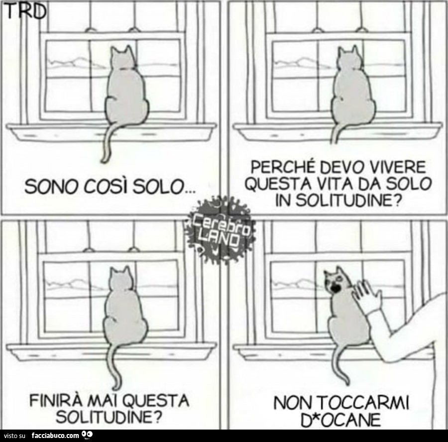 Sono cosi solo. Perchè devo vivere questa vita da solo In solitudine? Finirà mai questa solitudine? Non toccarmi