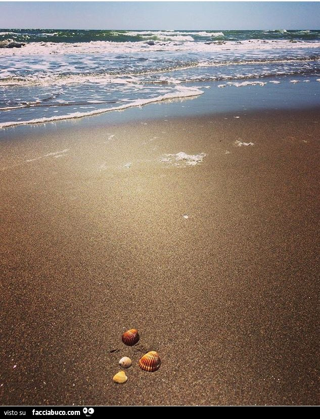 Conchiglie in riva al mare