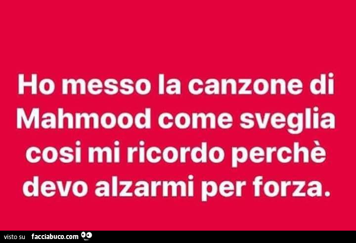 Ho messo la canzone di mahmood come sveglia cosi mi ricordo perchè devo alzarmi per forza