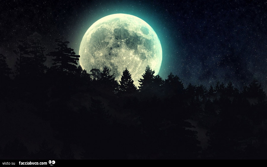Luna gigante oltre il bosco