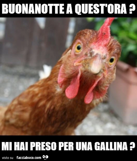 Vaccata