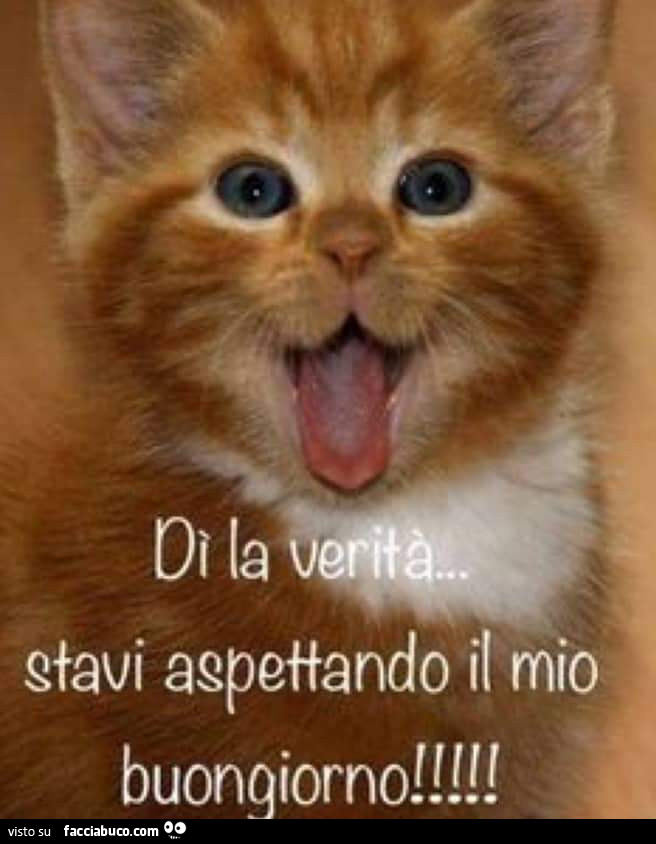 Dì la verità… Stavi aspettando il mio buongiorno
