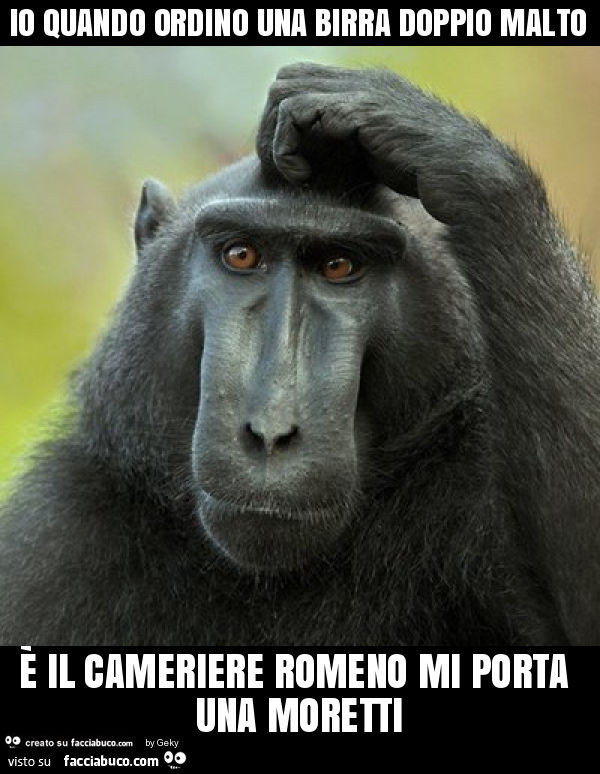 Io quando ordino una birra doppio malto è il cameriere romeno mi porta una moretti